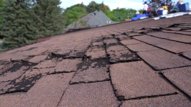 Best Roof Insulation Installation  in Chelsea Cove, NY