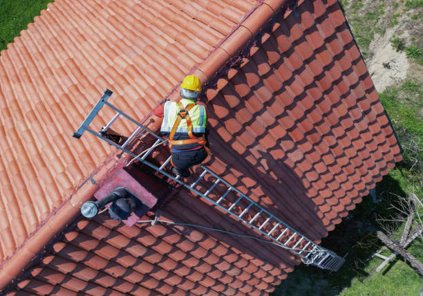 Best Green or Eco-Friendly Roofing Solutions  in Chelsea Cove, NY