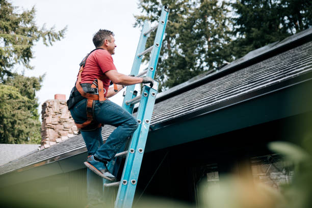 Trusted Chelsea Cove, NY Roofing Service Experts